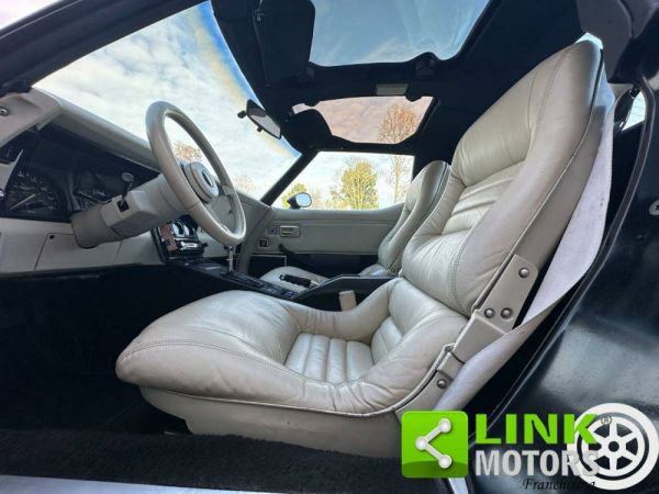 Chevrolet Corvette Sting Ray 1980 107024