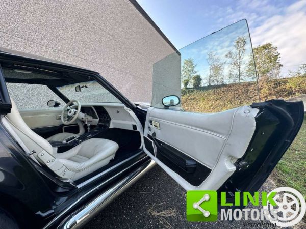 Chevrolet Corvette Sting Ray 1980 107028