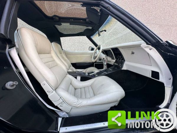 Chevrolet Corvette Sting Ray 1980 107029