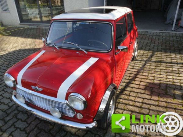 Rover Mini Cooper 1,3i 1993 118295