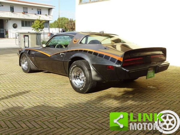 Pontiac Firebird TransAm 1979 118308