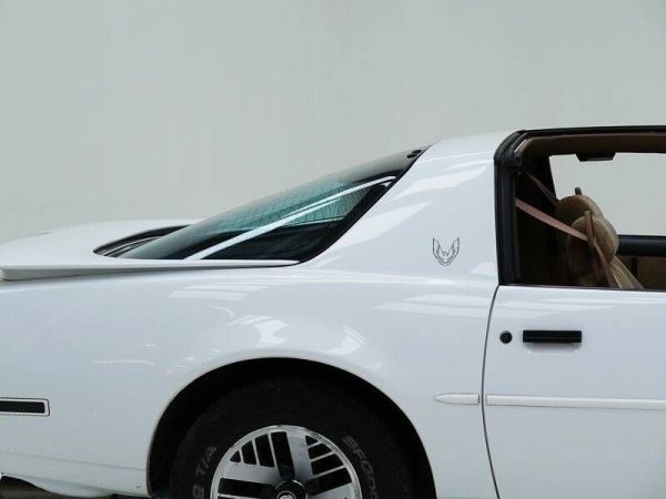 Pontiac Firebird TransAm 1990 123571