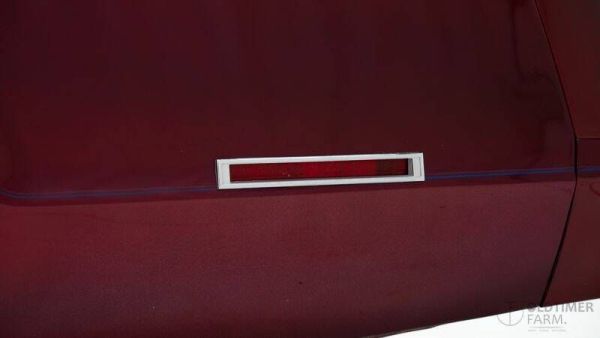 Ford Thunderbird 1979 125256