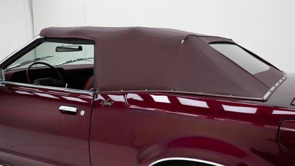 Ford Thunderbird 1979 125260