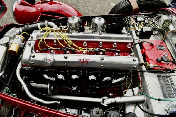 ALTRO Frazer Nash - Le Mans Replica 1956 44509