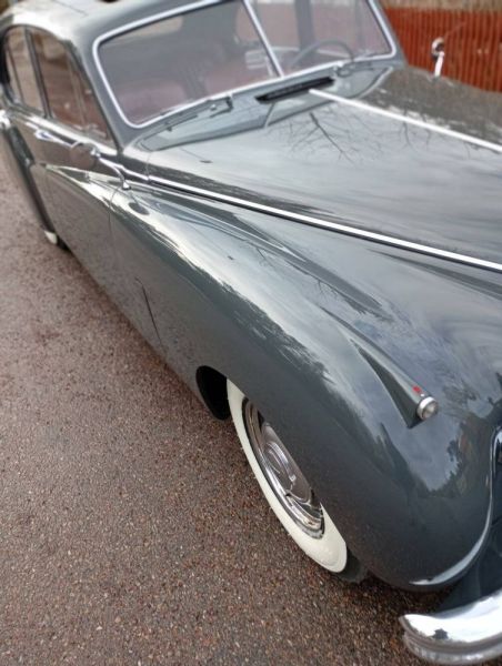 Jaguar Mk VII 1954 125903