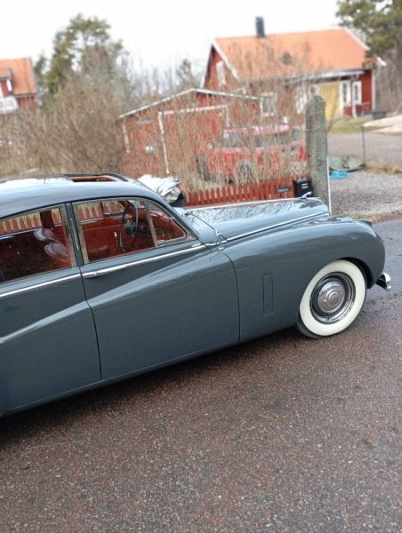 Jaguar Mk VII 1954 125904