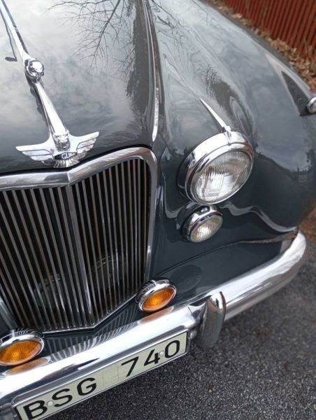 Jaguar Mk VII 1954 125906