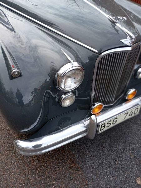 Jaguar Mk VII 1954 125907