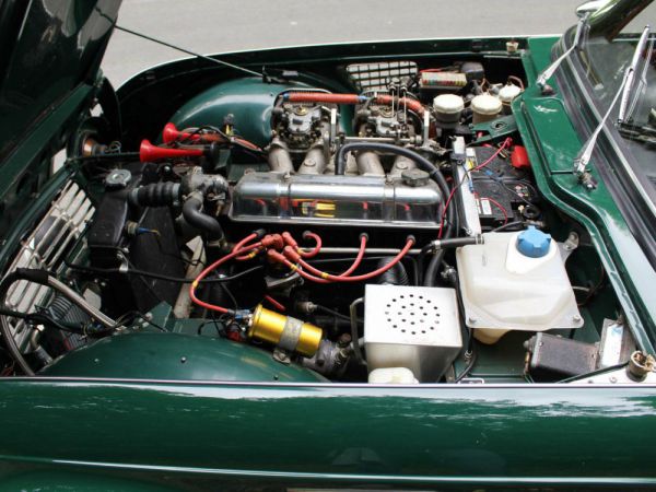 Triumph TR 4 1962 10834