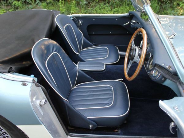 Austin-Healey 100/6 (BN4) 1958 119702