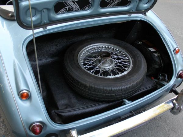 Austin-Healey 100/6 (BN4) 1958 119708