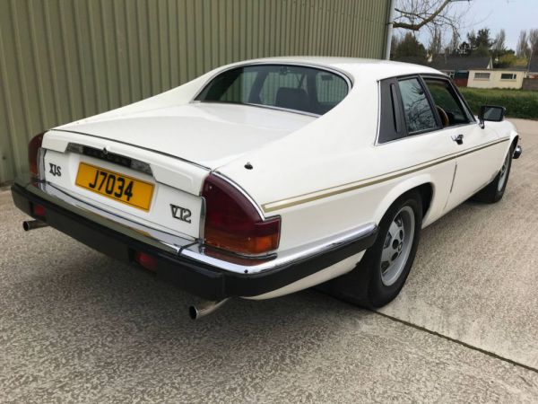 Jaguar XJ S H.E. 1983 31342