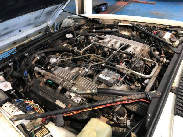 Jaguar XJ S H.E. 1983 31349