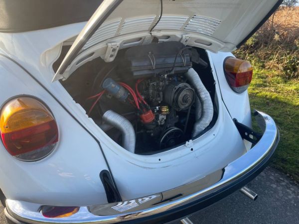 Volkswagen Maggiolone 1303 LS 1979 130093