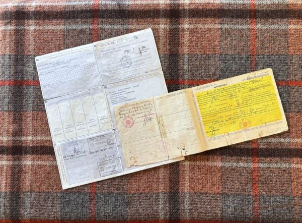 Autobianchi Bianchina Panoramica 1966 119541