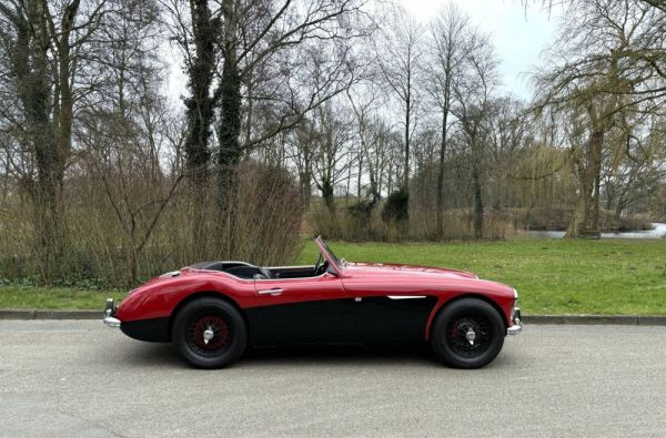 Austin-Healey 100/6 (BN4) 1959 120943