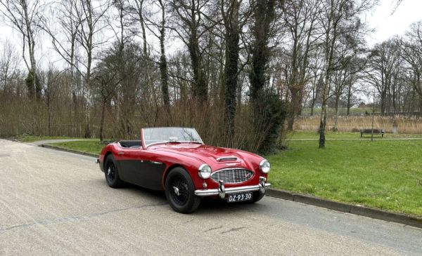 Austin-Healey 100/6 (BN4) 1959 120946