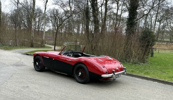 Austin-Healey 100/6 (BN4) 1959 120949