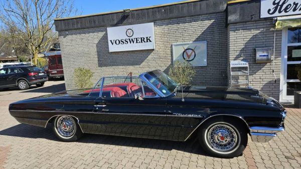 Ford Thunderbird 1964 124236