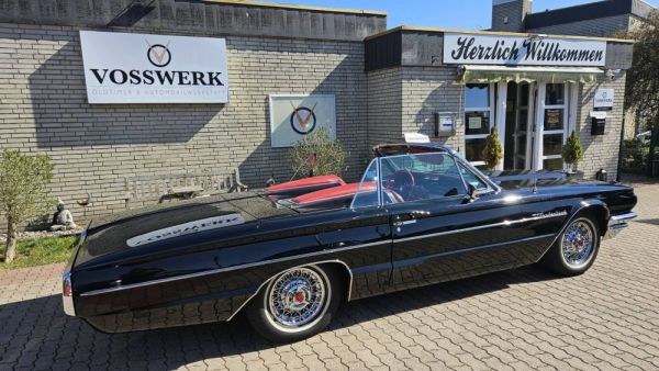 Ford Thunderbird 1964 124237
