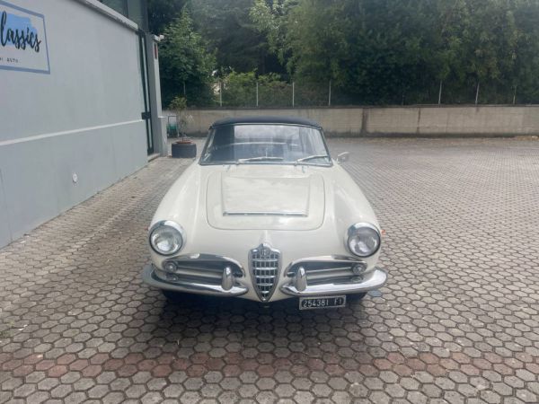 Alfa Romeo Giulia 1600 Spider 1964 55710