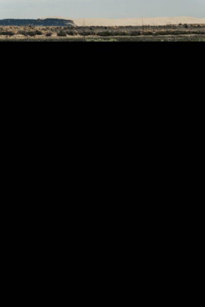 Porsche 911 2.4 S "Oilflap" 1972 48507