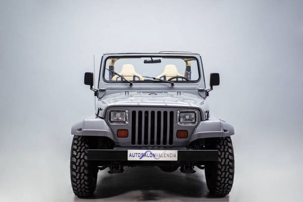 Jeep Wrangler 2.5L 1991 67451