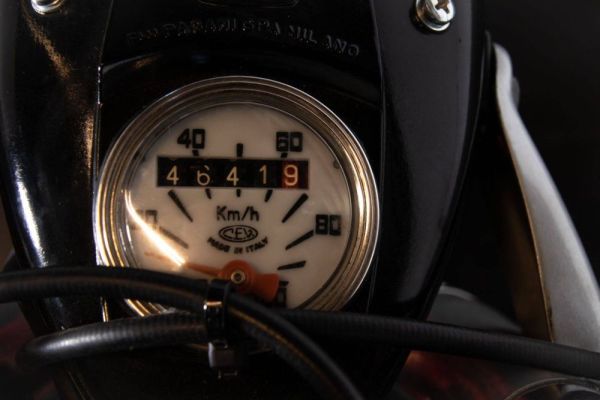 Beta Camoscio 48 1965 110221