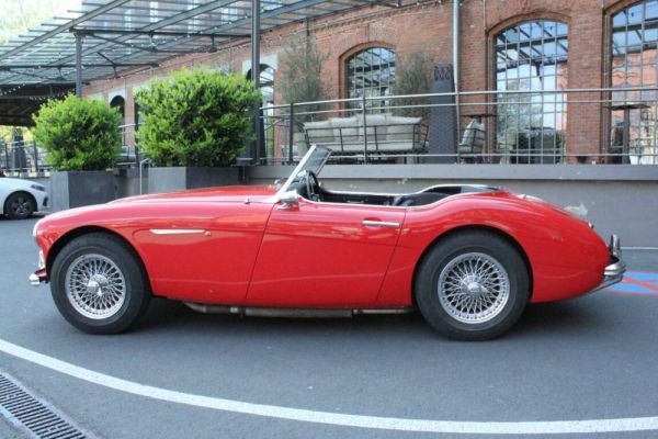 Austin-Healey 100/6 (BN4) 1959