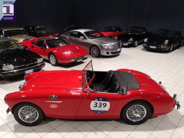 Austin-Healey 100/4 (BN1) 1954