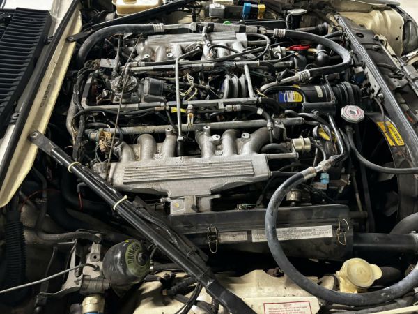 Jaguar XJ-S H.E. 1990 77694