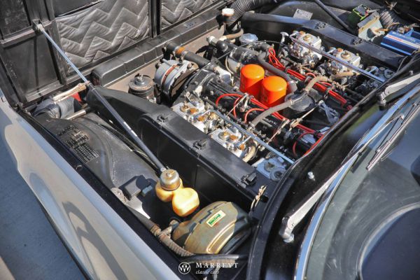 Ferrari 365 GTC/4 1972 67378