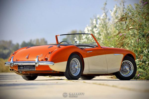 Austin-Healey 3000 Mk I (BN7) 1959 100205