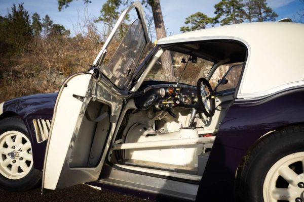 Austin-Healey 3000 Mk I (BN7) 1959 114647