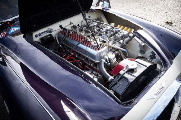 Austin-Healey 3000 Mk I (BN7) 1959 114649