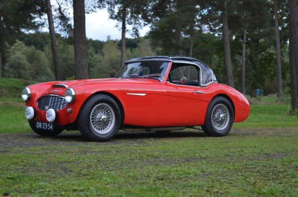 Austin-Healey 100/6 (BN6) 1958 114669