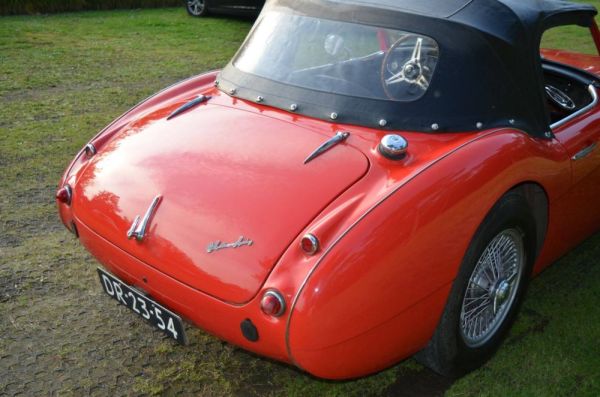 Austin-Healey 100/6 (BN6) 1958 114673