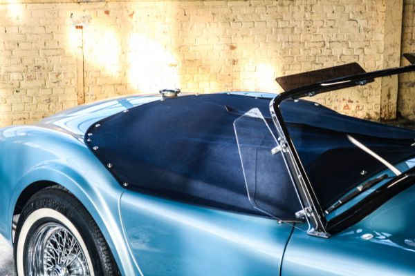 AC Cobra 289 1964 98384