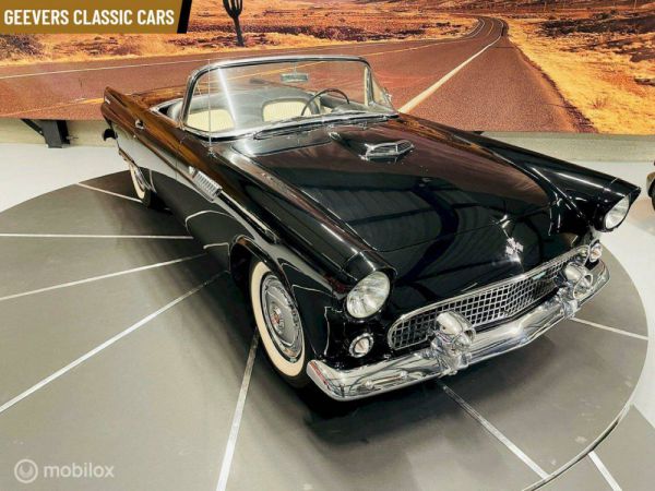 Ford Thunderbird 1955 99006