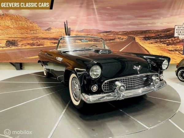 Ford Thunderbird 1955 99007
