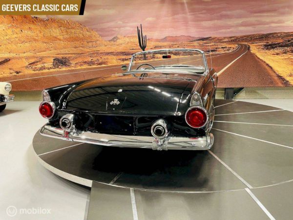 Ford Thunderbird 1955 99008