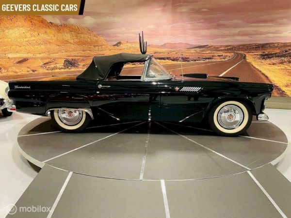 Ford Thunderbird 1955 99009