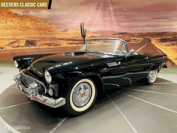 Ford Thunderbird 1955 99010