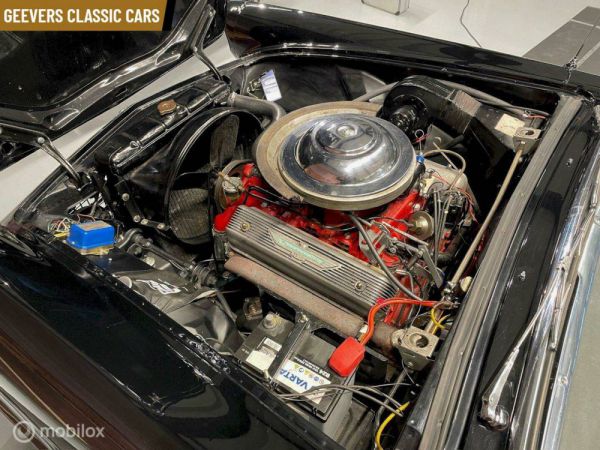 Ford Thunderbird 1955 99013