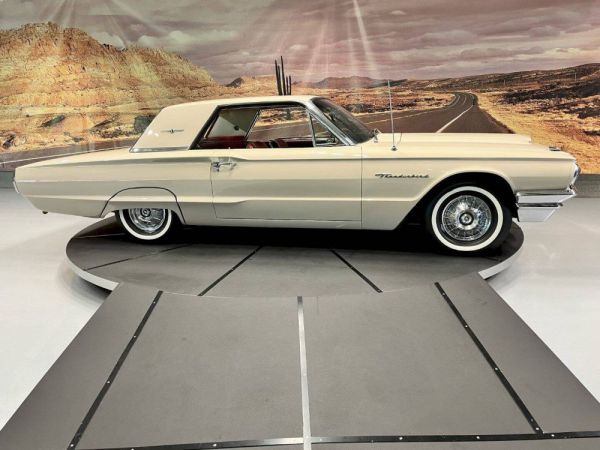 Ford Thunderbird 1964 100272
