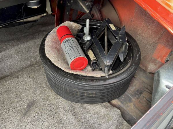 Ford Mustang Boss 302 1970 100486