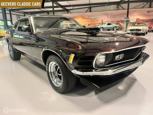 Ford Mustang 302 1970 123170