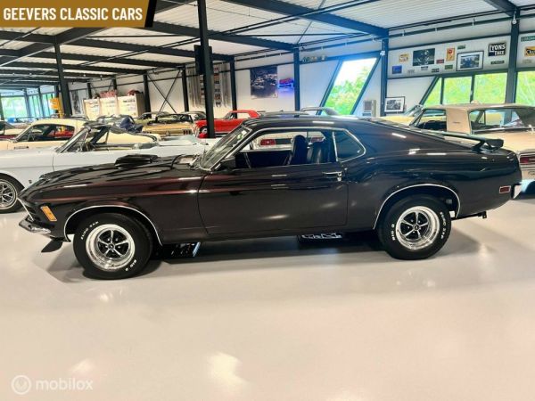 Ford Mustang 302 1970 123173
