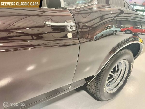 Ford Mustang 302 1970 123177